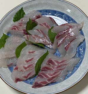 20242012真鯛刺身.jpg